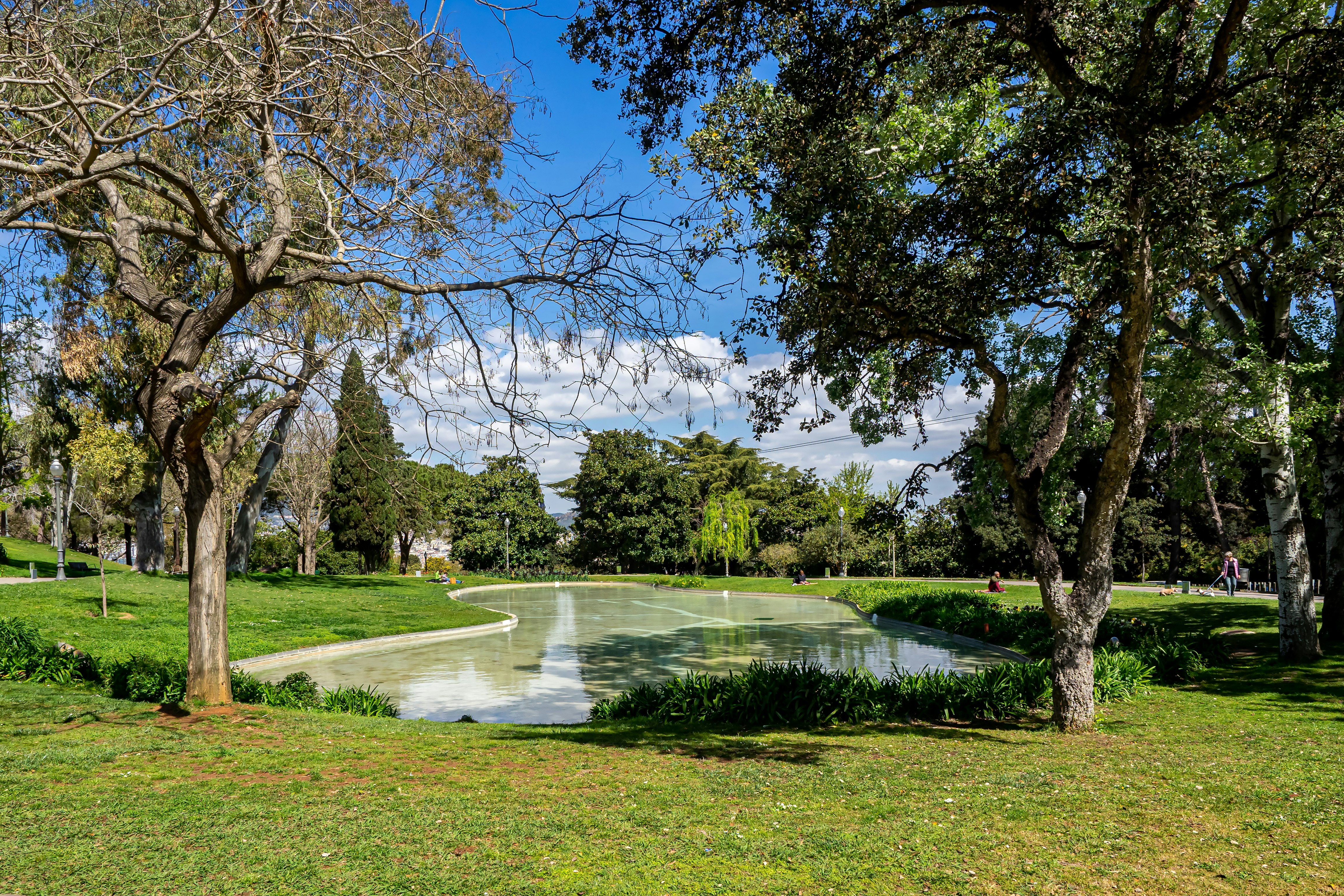 green grass field with trees and river in distance